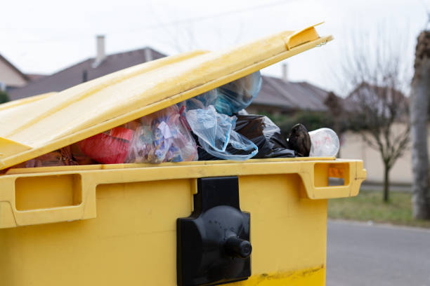 Best Dumpster Rental Services  in River Road, NC